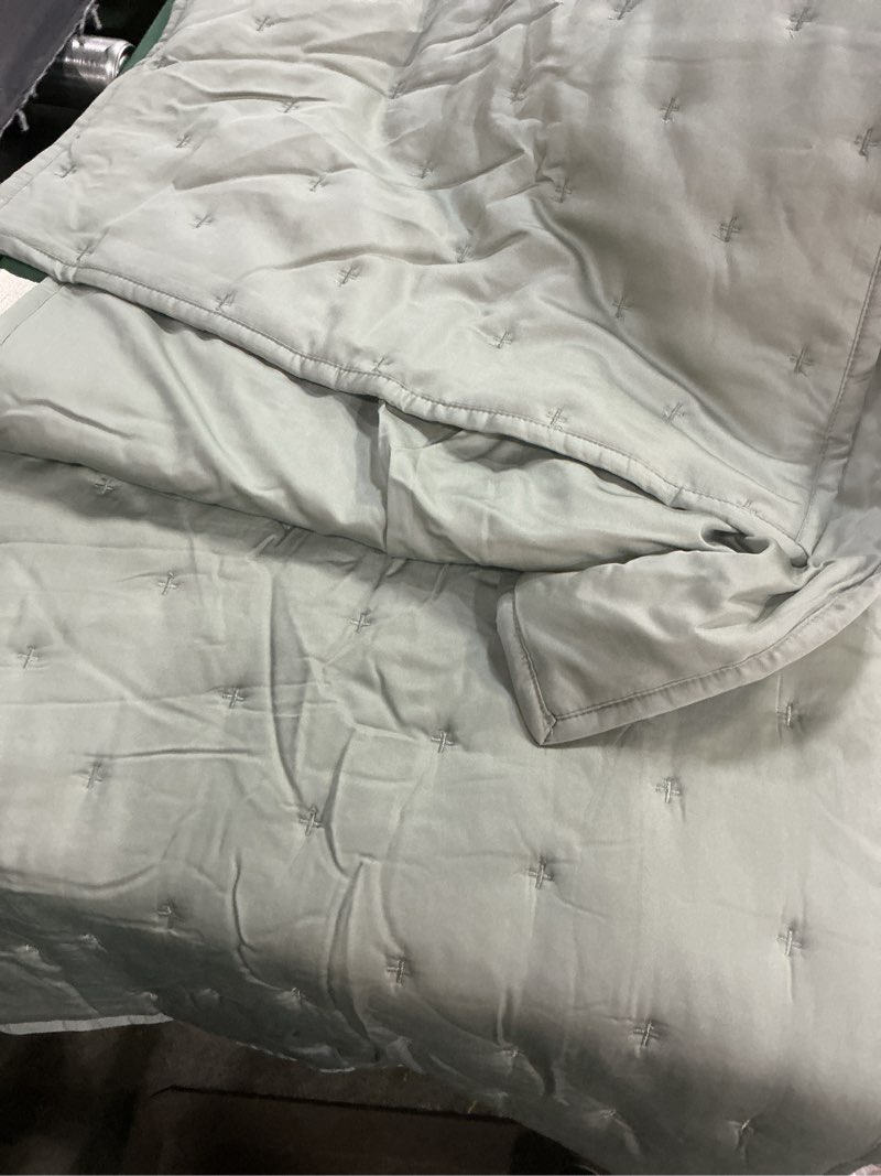Condition photo showing Good Condition for quince, bamboo dream quilted sham set of 2/king/ eucalyptus