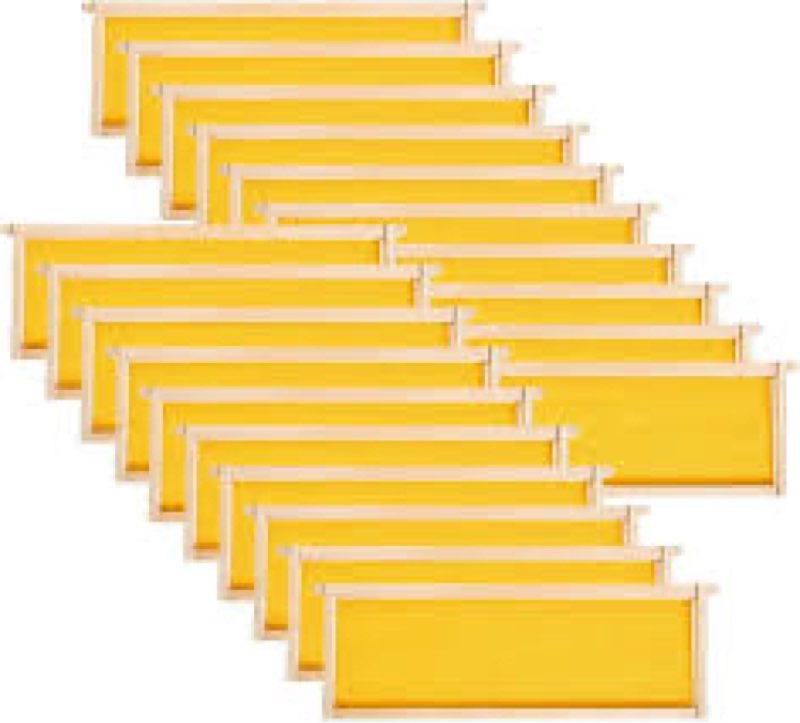 MayBee 20 Pack Honey Bee Frames with 100% Beeswax Coated Food Grade Foundation Sheets, Complete Unas