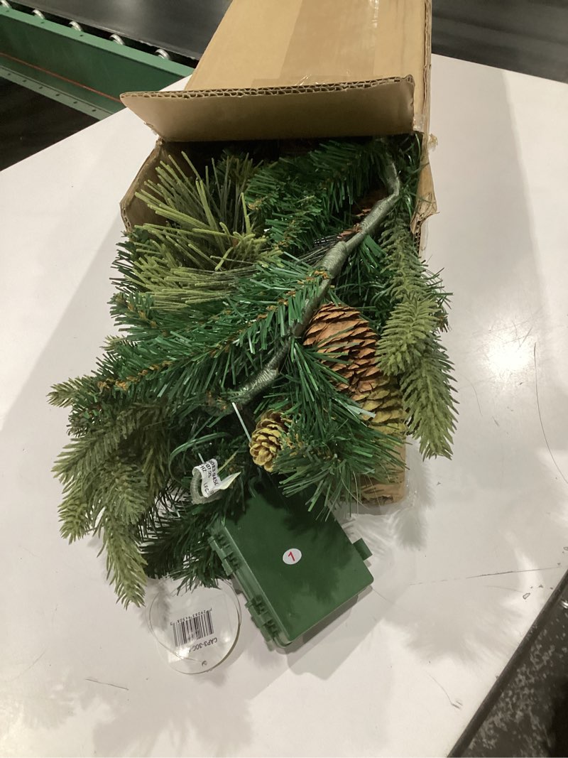Condition photo showing Good Condition for national tree company 9 ft pre-lit carolina pine artificial christmas garland, christmas decoration with pinecones, 100 warm white led lights, 240 tips, timer, green battery operated tree