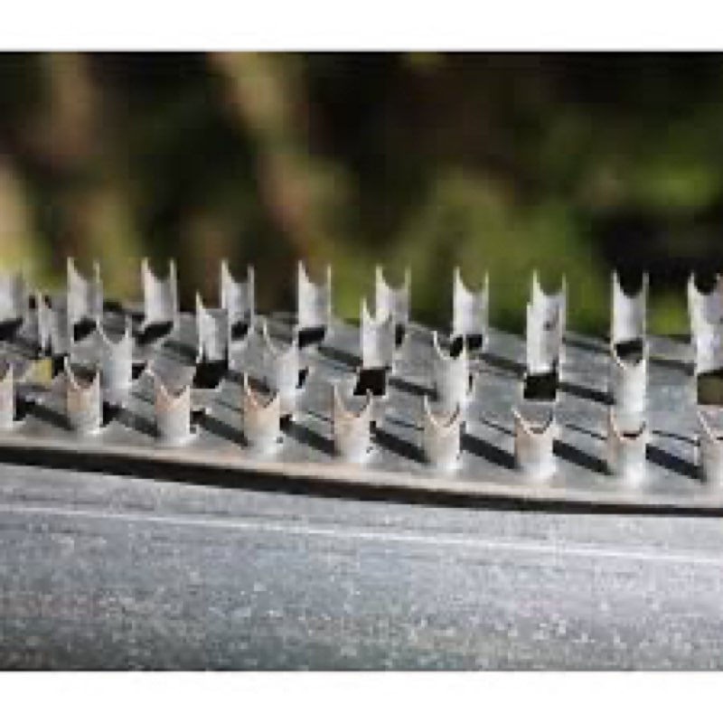 Boss Buck Shark Teeth Durable Lightweight Protective Sharp 36\" Varmint Deterrent Strips with Selt Tapping Screws for Game Feeder, S of 3 Newitem