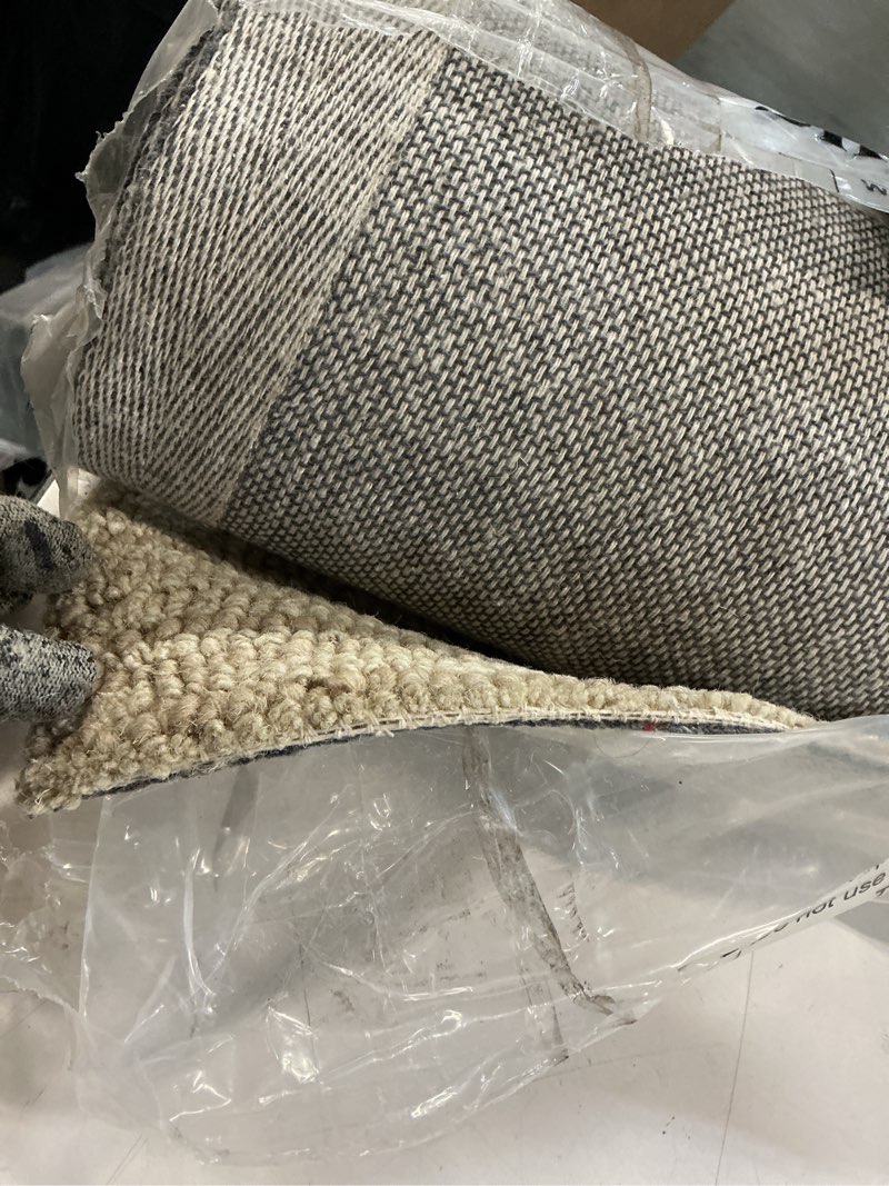 Condition photo showing Good Condition for loloi chris loves julia x francis collection fra-01 beige/charcoal 2'-0" x 5'-0" accent rug beige / charcoal 2' x 5' (rectangular) checkered