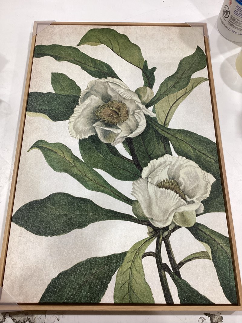 Condition photo showing Good Condition for 3 pcs pink tulips flowers canvas wall art boho pink and green abstract floral botanical paintings pictures wall decor poster print artwork for living room bedroom home decoration unframed poster 16"l x 12"w