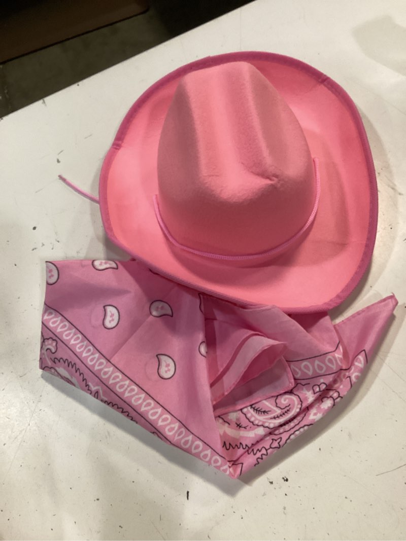 Condition photo showing Good Condition for funny party hats - cowboy hat for adults - pink cowgirl hat - cowboy hat and paisley bandana - cowgirl costume for women