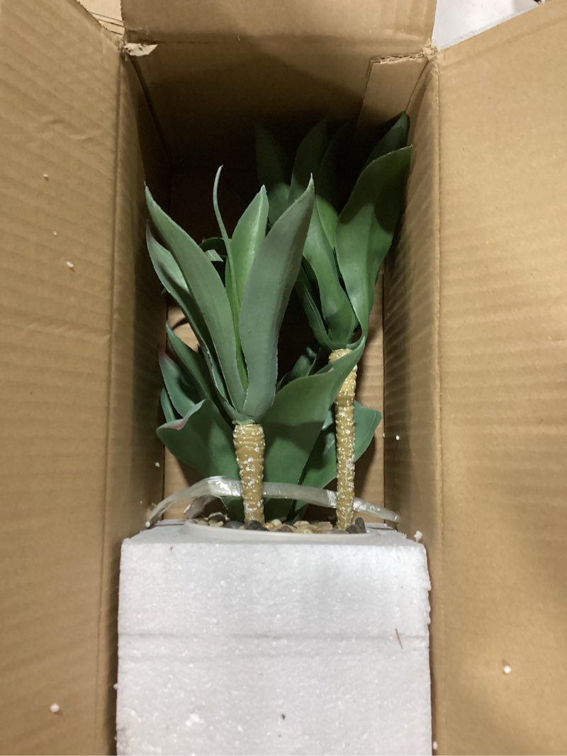 Condition photo showing New/Like New for Hollyone Large Artificial Agave Plants Fake Three-Head Agave Succulent Plant Potted 15" Faux Plant in White Pot Succulents Aloe Plant Indoor for Desk Modern Home Decor Style 1
