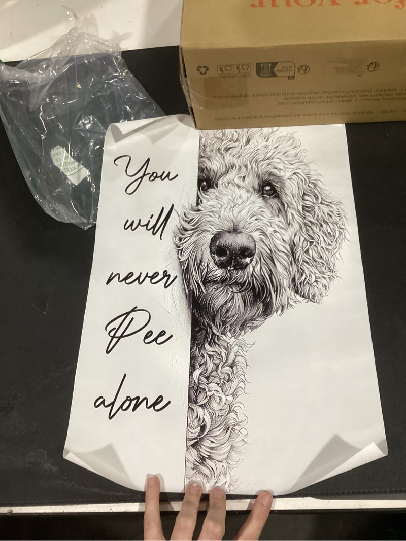 Condition photo showing New/Like New for Black and White Bathroom Wall Art Goldendoodle You Will Never Pee Alone Canvas Poster Print Funny Bathroom Signs Pictures Dog Lovers Dining Room Ideas Wall Decor 8x12inch Unframed 8"L x 12"W style-2-Unframed
