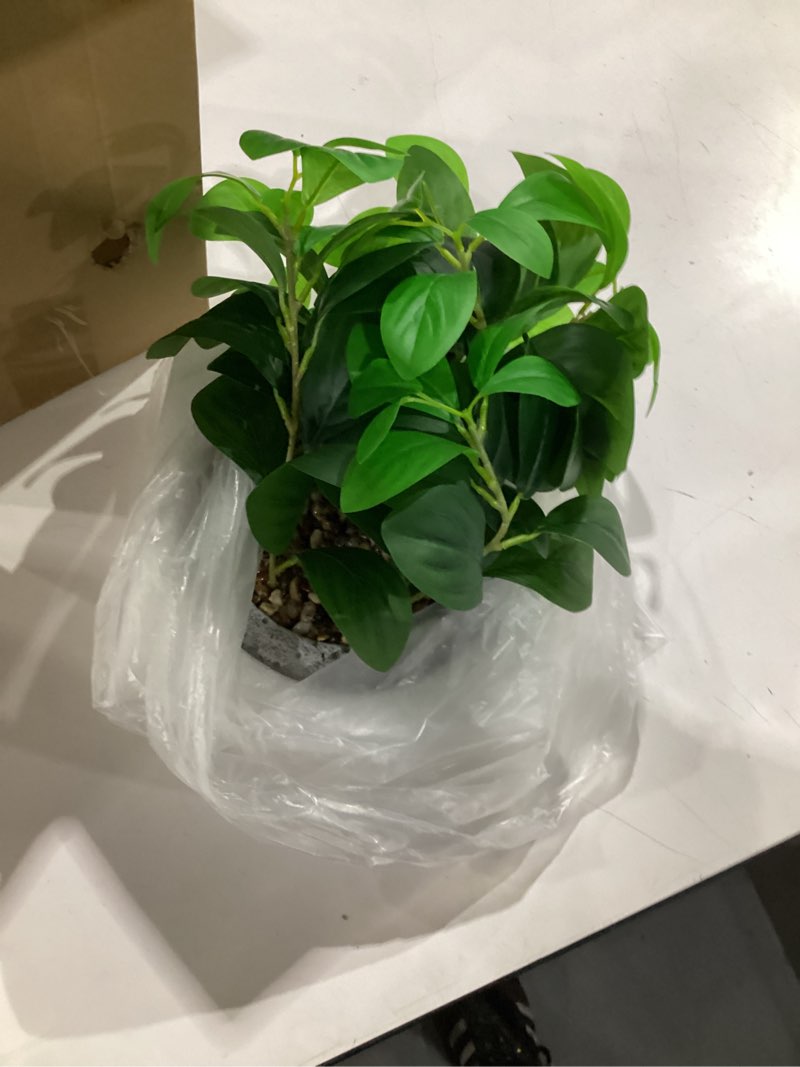 Condition photo showing Good Condition for k&y realistic artificial potted plants olive wild fern berry decor low maintenance faux greenery indoor fake plants for home office bathroom kitchen desk shelf (gray flowerpot potted plant)