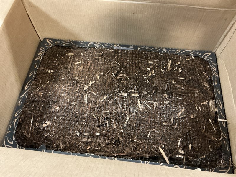 Condition photo showing As Is for Bark Potty Large Dog Potty Training Box - Disposable, Long-Lasting Pee Pad Litter Replacement - Leak Resistant, Multi-Use, Odor Control, Indoor/Outdoor Toilet Tray Large 30x20