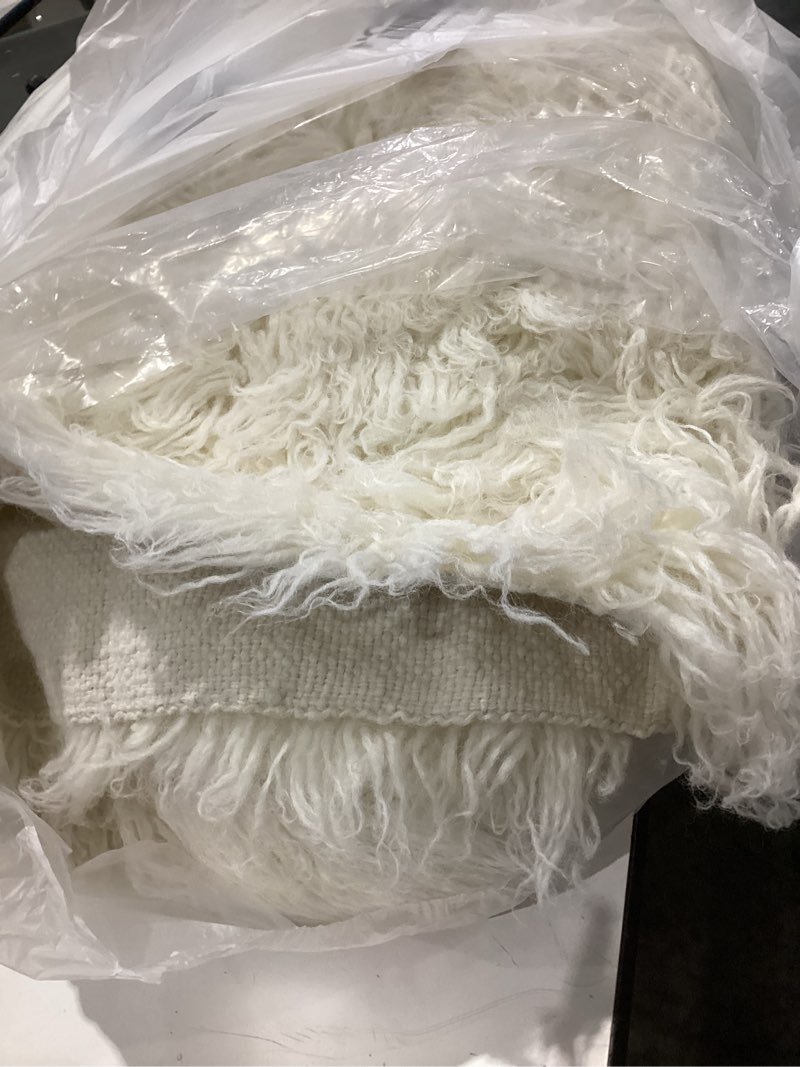 Condition photo showing As Is for wool rug carpet 