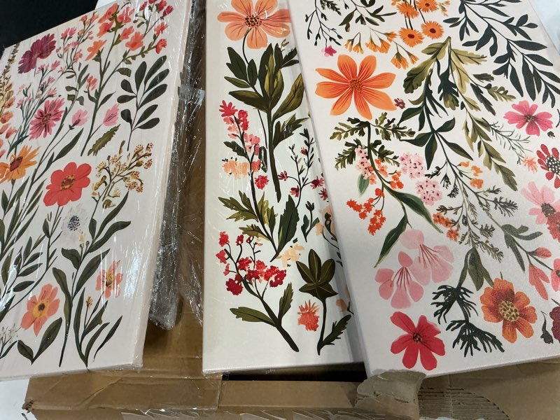 Condition photo showing Good Condition for framed colorful wildflower canvas wall art boho floral wall decor pictures watercolor flower posters prints botanical artwork for living room bedroom bathroom home decorations (16inx24in canvas) watercolor 16inx24in canvas