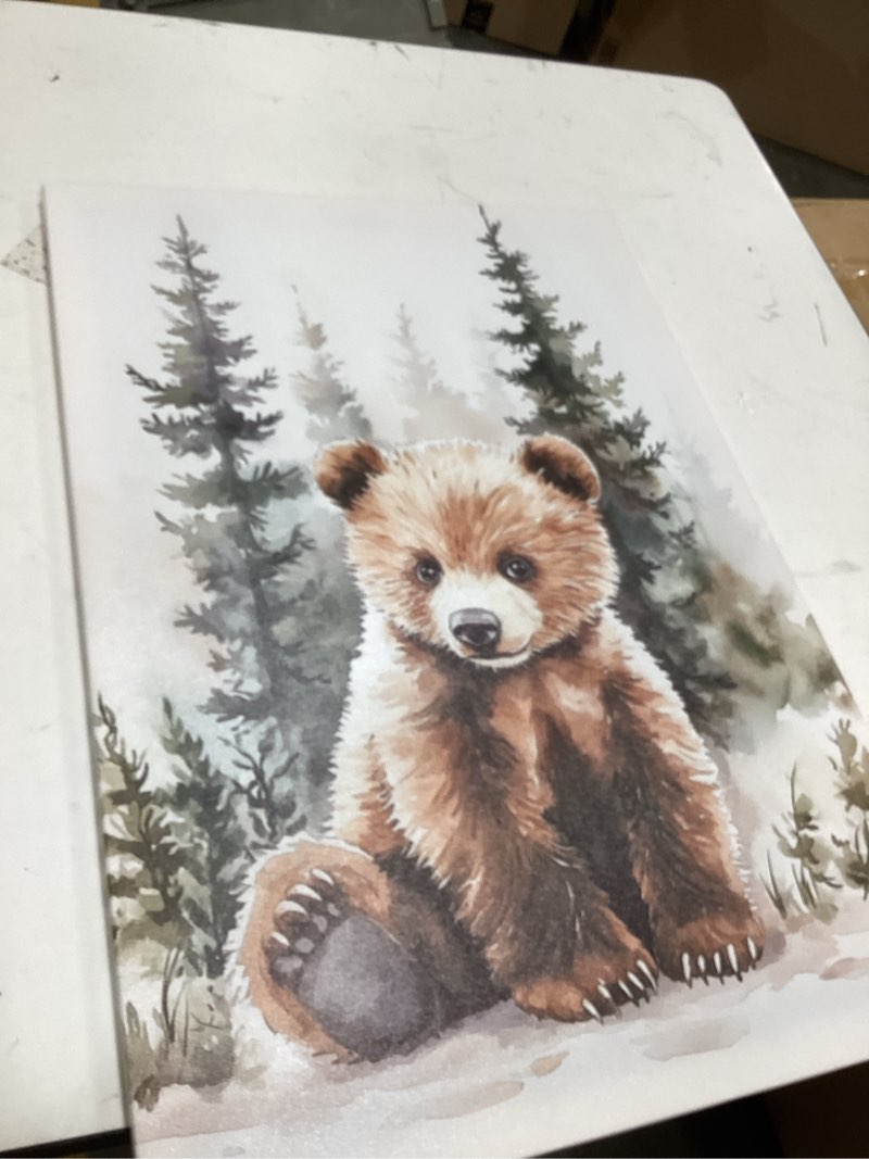 Condition photo showing As Is for decorative picture