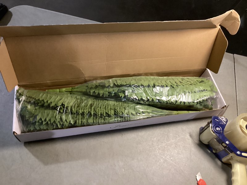 Condition photo showing Good Condition for 35" ferns artificial bush plants large, 2 artificial boston ferns with 39 fronds for outdoors home decor