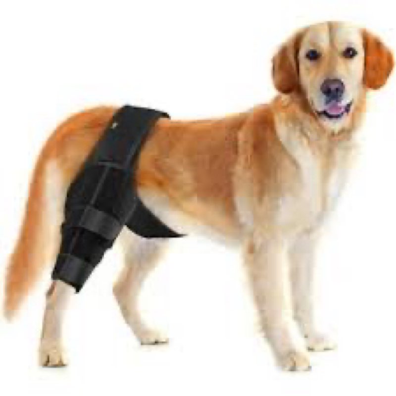 Dog Recovery Sleeve Rear Leg for Stop Licking, Recovery Dog Pants for Wound ACL TPLO After Surgery,C