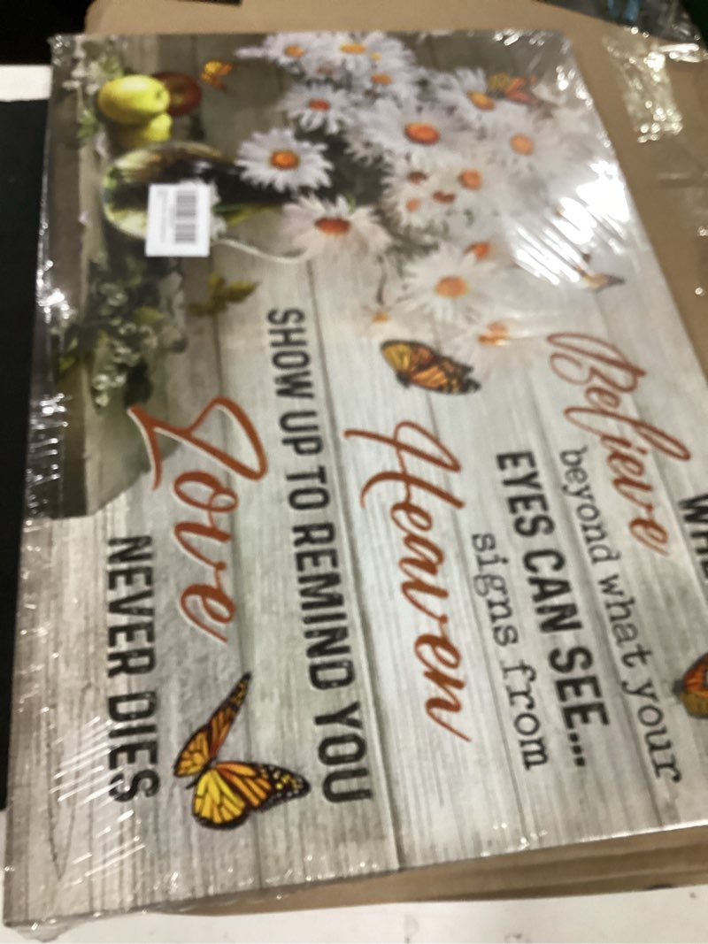 Condition photo showing New/Like New for daisy canvas wall art farmhouse butterfly flowers painting picture wall decor inspirational quotes poster print artwork for living room kitchen bedroom bathroom home decoration prepare to hang canvas 16l"x24w"