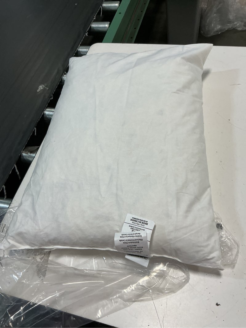 Condition photo showing As Is for quince premium feather pillow insert white 12x20 in 