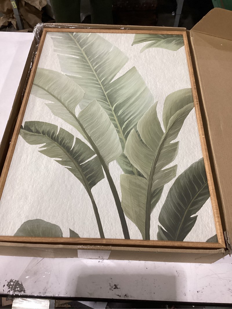 Condition photo showing Good Condition for rantodecor sage green framed canvas wall art, minimalist tropical leaf wall decor, boho beige nature leaf art paintings, bohemian triple panel plant artwork for bedroom living room office 16"x24"x3 sage green leaf