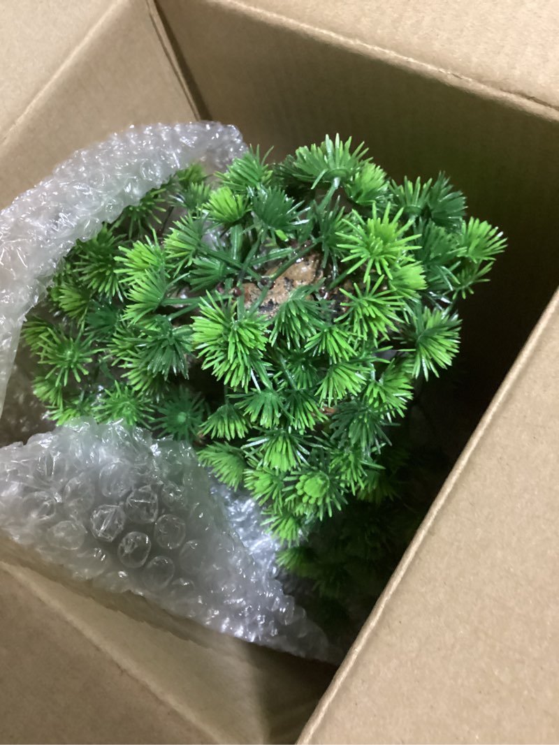 Condition photo showing New/Like New for Penn Plax RR993 7 L x 6 W x 12 H Bonsai Tree on Rock Style 2 Fish Aquarium Ornament
