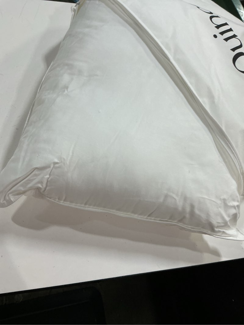 Condition photo showing Good Condition for premium down alternative pillow, standard, medium/firm