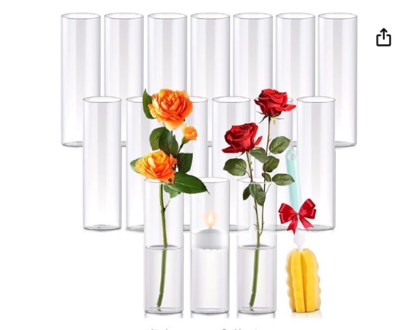 16Pcs Glass Cylinder Bud Vases for Centerpieces,7.7 In Tall Clear Flower Vases in Bulk,Glass Small Vases Floating Candle Holder for Party,Home Decor,Wedding Decoration,Birthday,Anniversary,Baby Shower ( Similar)