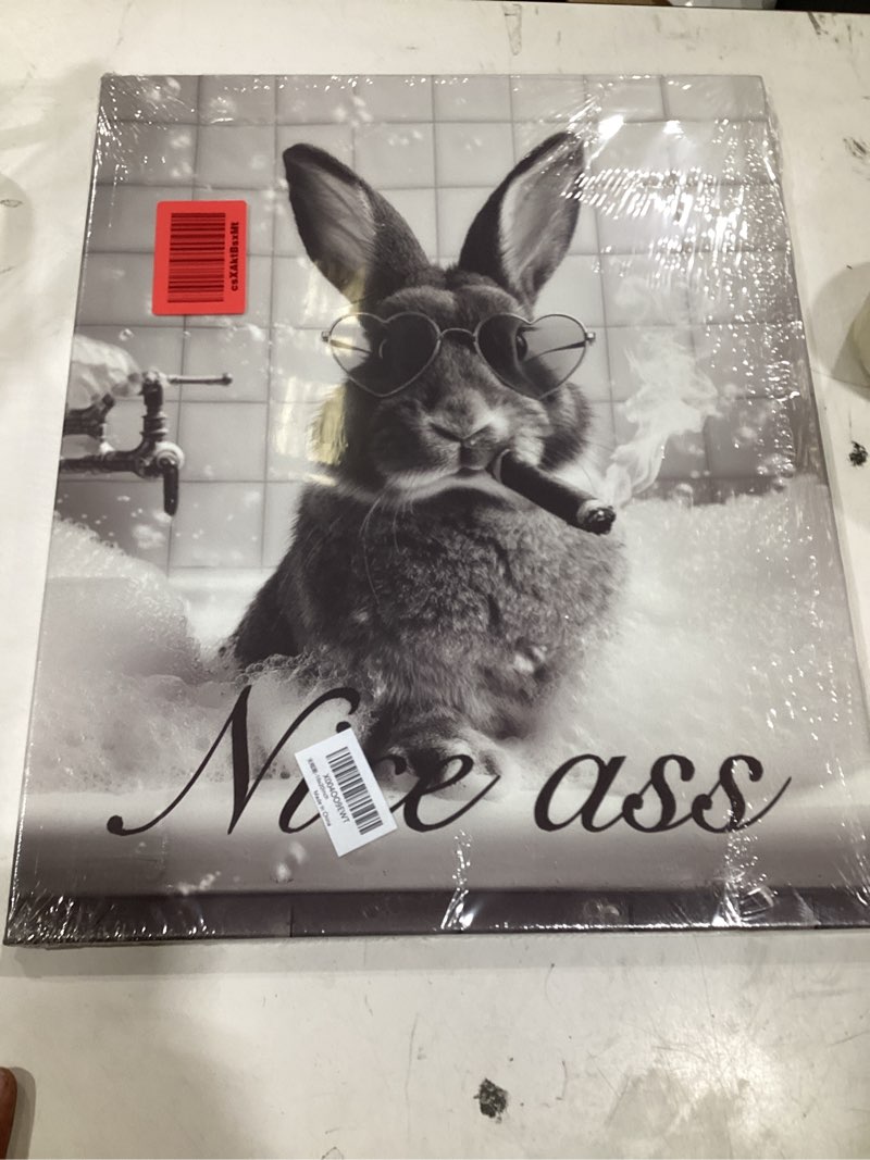 Condition photo showing New/Like New for funny rabbit bathroom wall art black and white bunny bathtub canvas wall decor pictures paintings prints artwork framed decorations for bedroom living room gifts 16" x 20" rabbit 20l" x 16w"