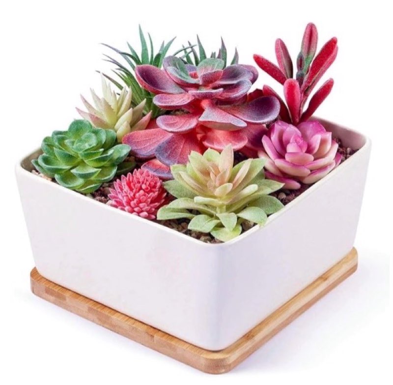 7 inch square white ceramic succulent cactus plants planter pot with drainage bamboo tray ?large?