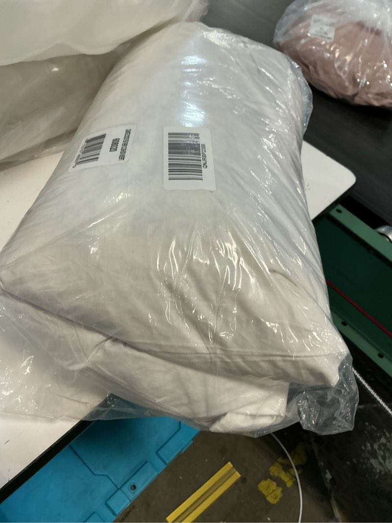 Condition photo showing Good Condition for premium feather pillow insert, 20x20, no color