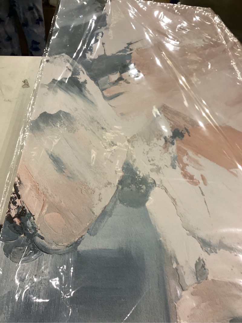 TAIJXAGSG Pink Abstract Wall Decor Painting Canvas Art Wall Decor Print Artwork Colorful Large Abstr