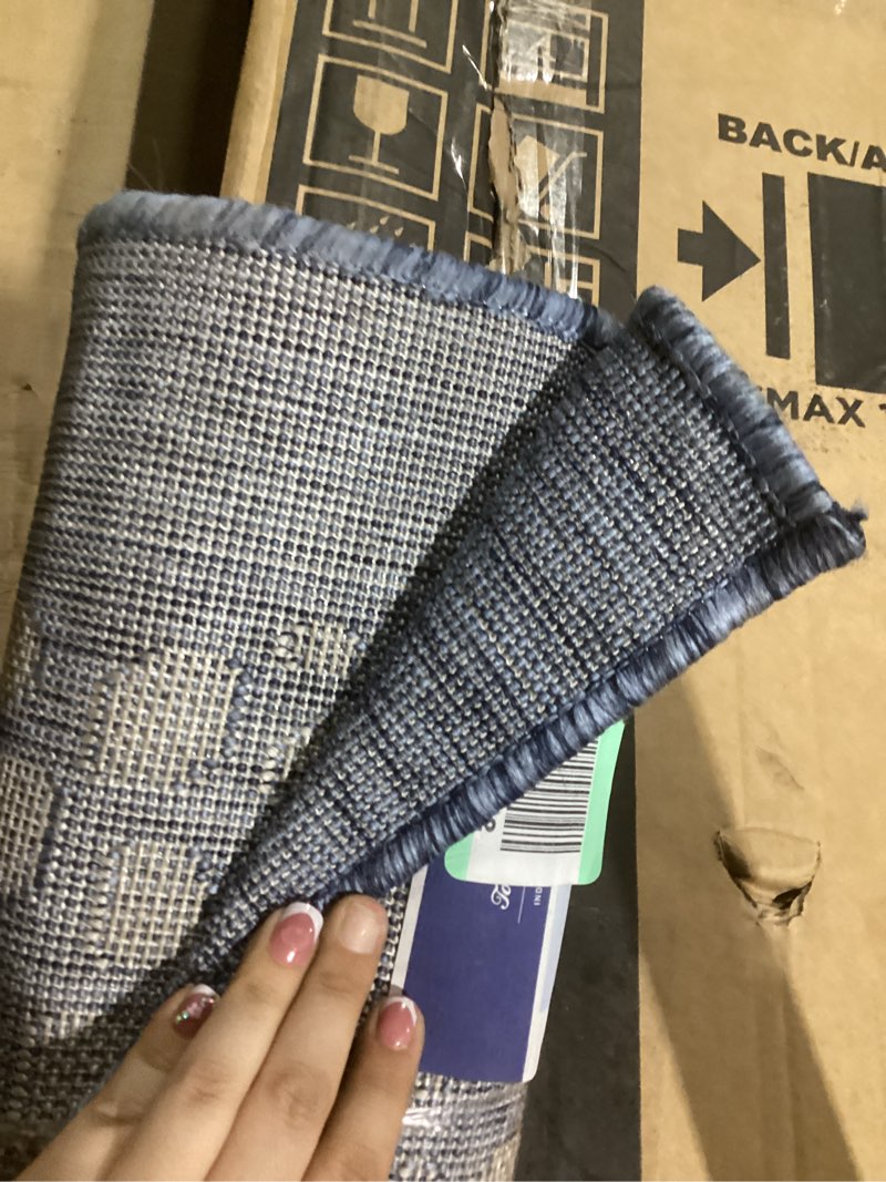 Condition photo showing Good Condition for Tommy Bahama Marlin Transitional Indoor/Outdoor Area Rug, Blue, 7'10"x10'2" Blue 7'10" x 10'2" (Rectangular)