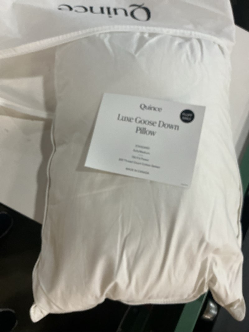Condition photo showing New/Like New for luxe goose down pillow, standard, soft/medium