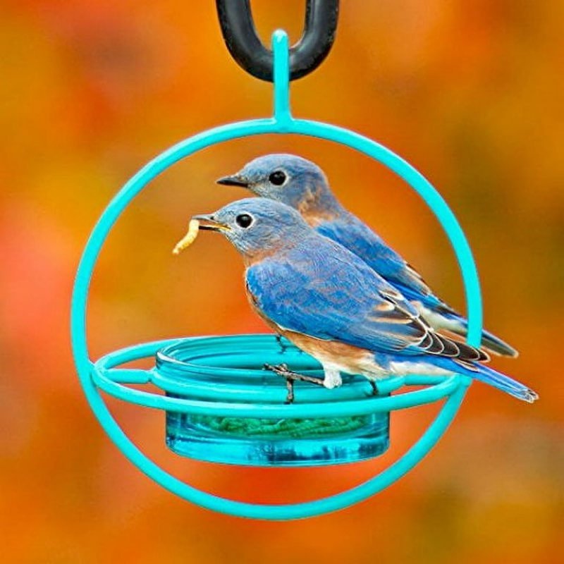 Mosaic Birds Hummble Bold Hanging Bird Feeder for Outdoors, Oriole, Finch Wild Bird Feeders - Aqua Blue