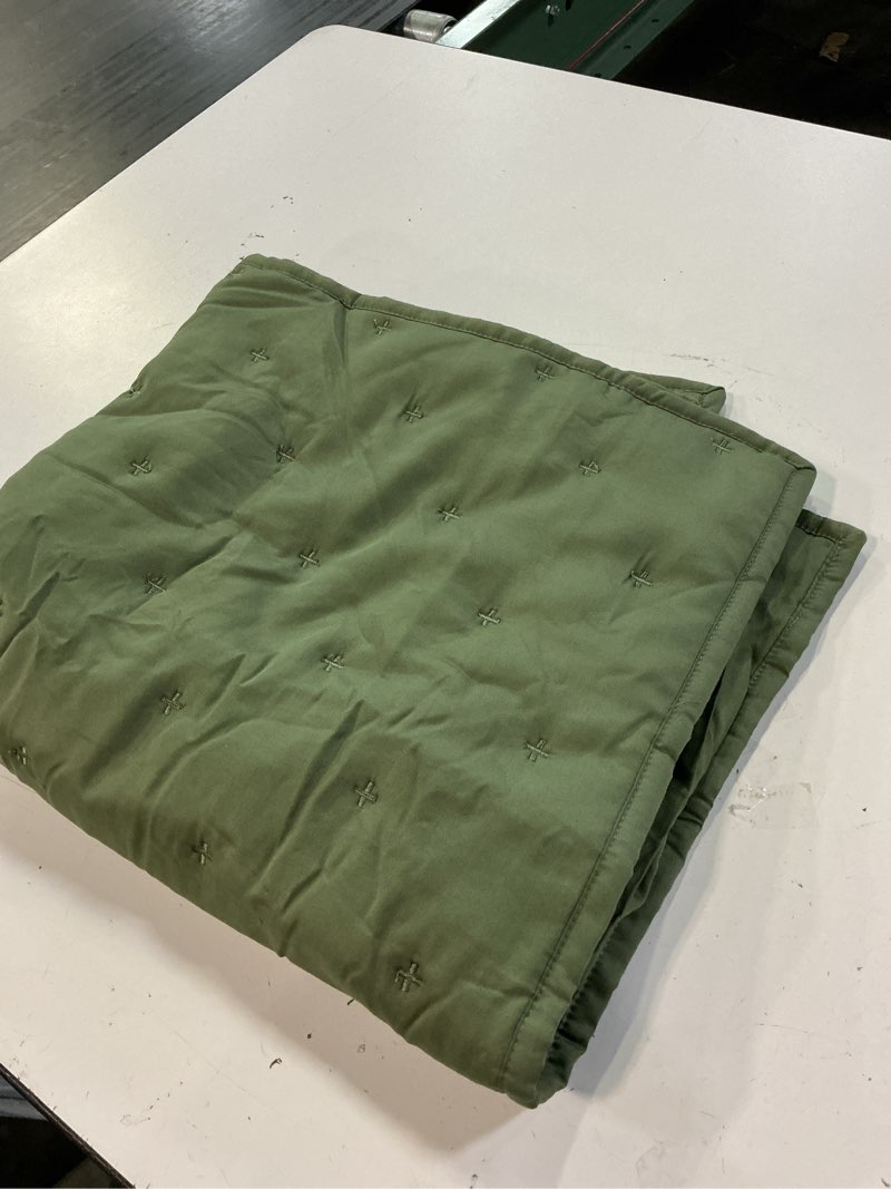 Condition photo showing Good Condition for  quince bamboo dream quilted euro sham olive 