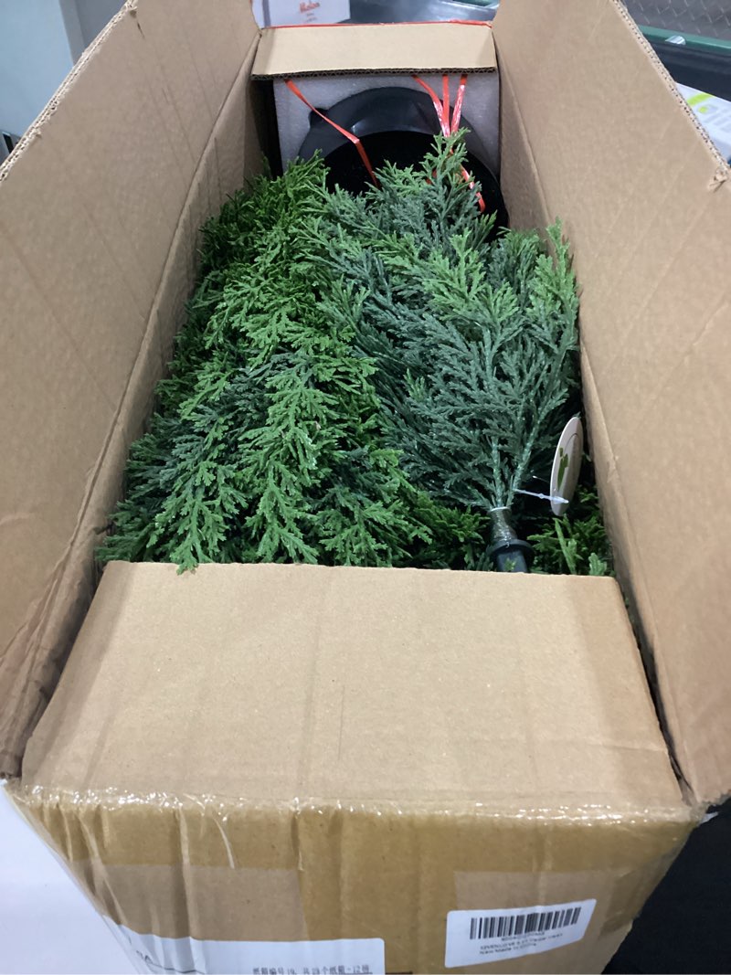 Condition photo showing New/Like New for SEVENLOVE 60" Artificial Cedar Topiary Tree One Set, 5FT SEVENLOVE Potted Cedar Tree Topiary Artificial Plant Shrub for Front Porch Home Office Decor (1, 5)