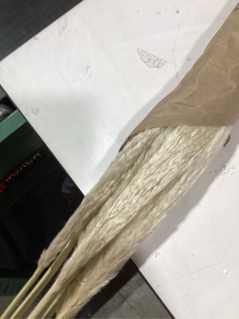 Condition photo showing New/Like New for 10 stems 30" inch dried pampas grass decor tall, large pompas grass, boho neutral home decor bouquet, fluffy pampass grass for floor vase wedding floral arrangements wall farmhouse table decor 31inch tall pampas