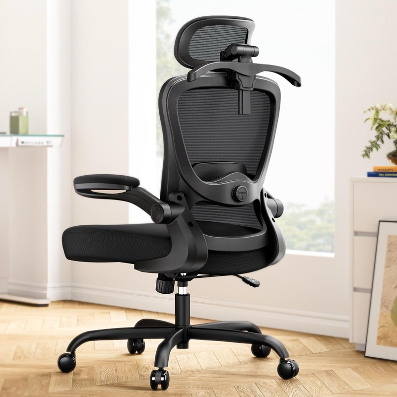 Marsail Ergonomic Office Chair with 3D Lumbar Support & Headrest, Flip-Up Armrests, 90-120° Tilt, Hi