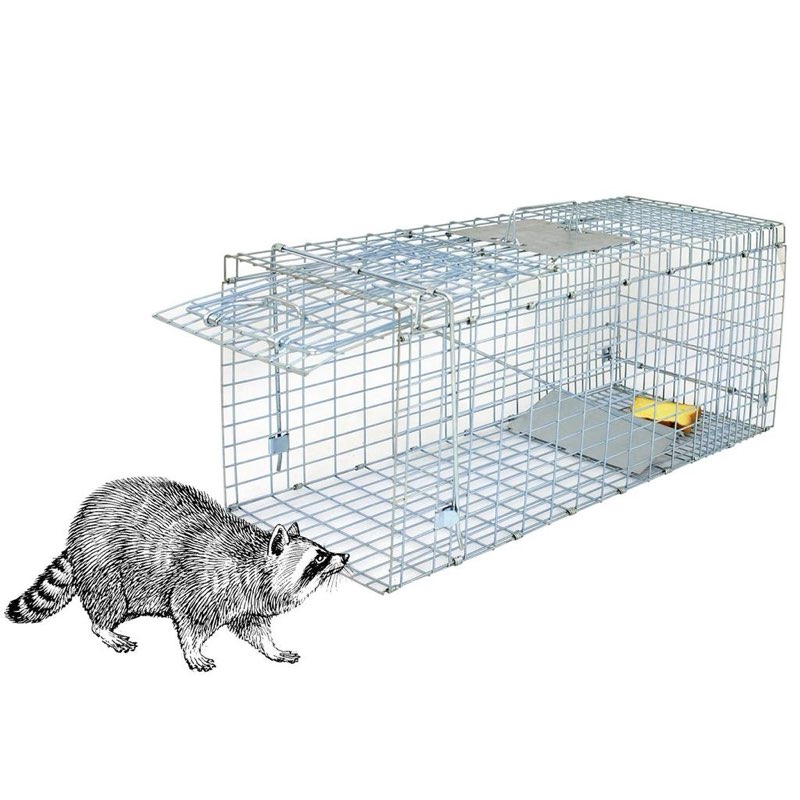 32” humane animal trap, live animal trap cage for stray cats, raccoons, squirrels, rabbits, moles, g