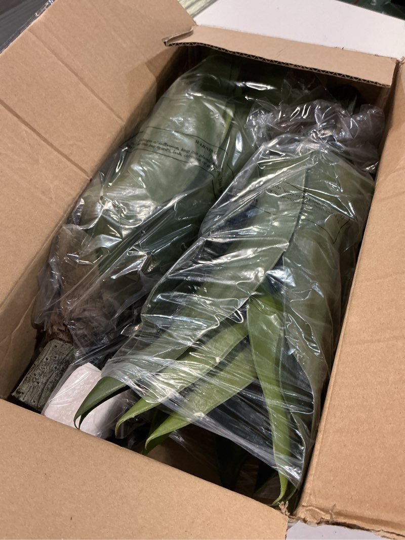 Condition photo showing Good Condition for oairse artificial agave plants with ground spike - 15.7" fake agave succulent plant realistic faux succulents uv resistant greenery for indoor outdoor planters porch home garden yard decor, set of 2