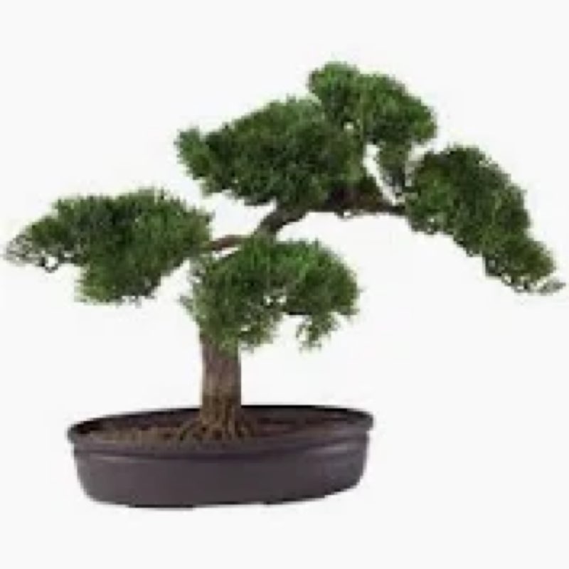 Nearly Natural 4106 16in. Cedar Bonsai Silk Plant,Green