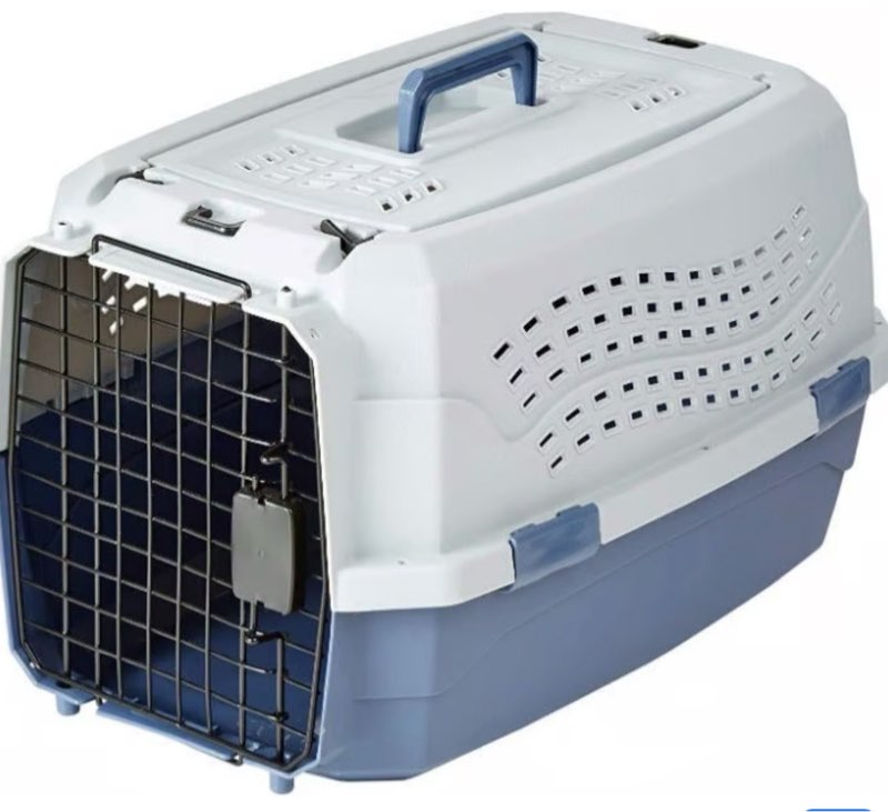 Amazon Basics 2-Door Top-Load Hard-Sided Dogs, Cats Pet Travel Carrier, Gray & Blue, 22.8"L x 15.0"W x 13.0"H