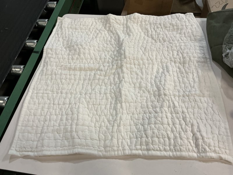 Condition photo showing Good Condition for quince european linen cotton stitch quilted euro sham color white 26x26 