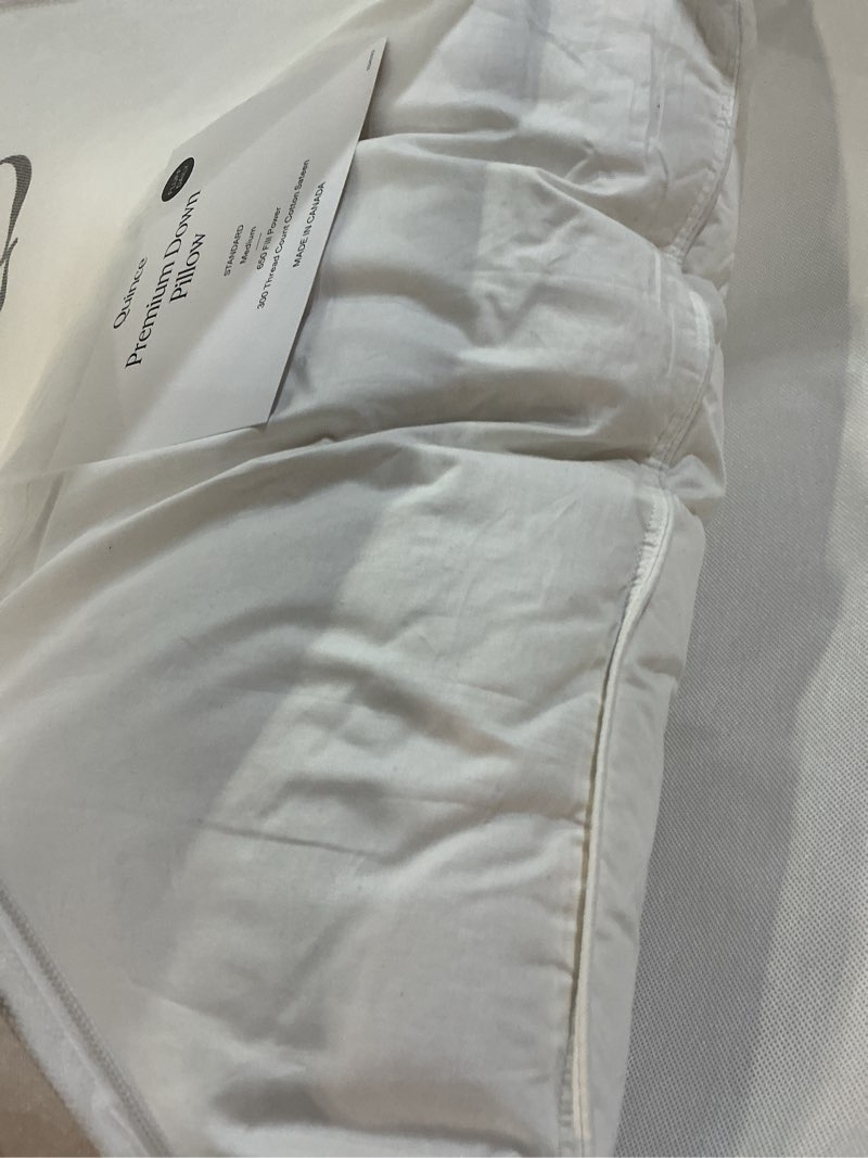 Condition photo showing Good Condition for premium down pillow, standard, medium