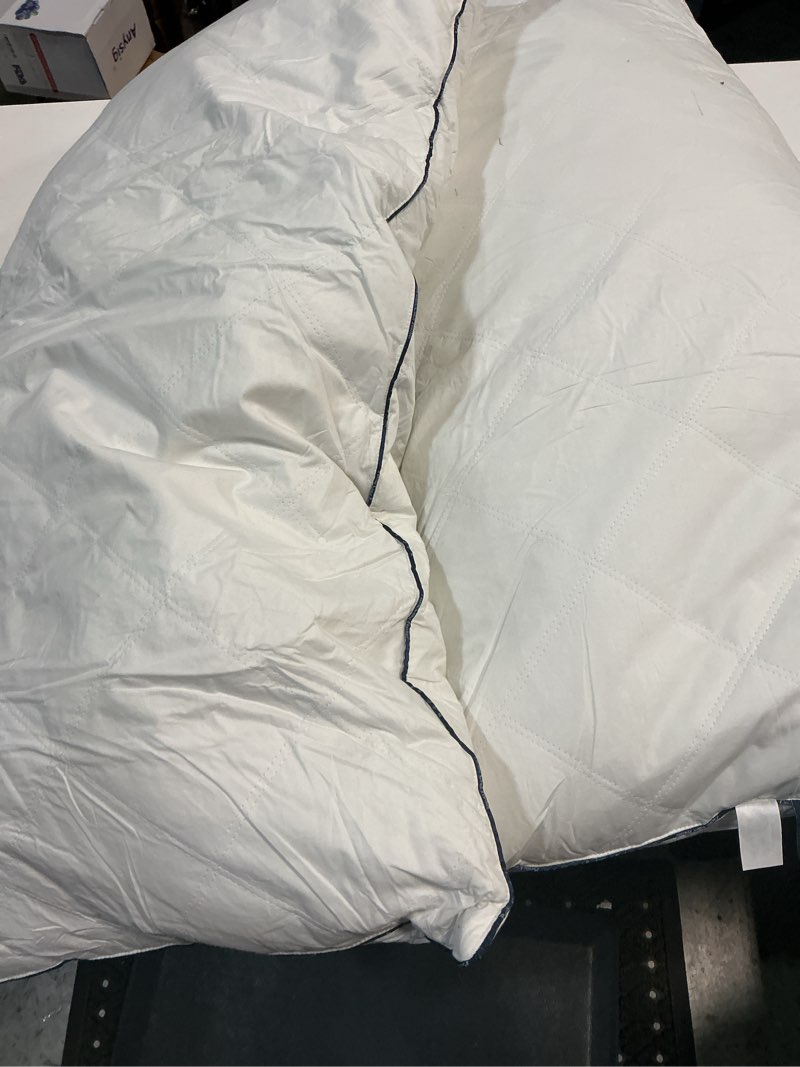 Condition photo showing As Is for pacific coast premium goose feather & down bed pillows king size 2-pack, hotel quality collection, medium support for side & back sleepers king (pack of 2)