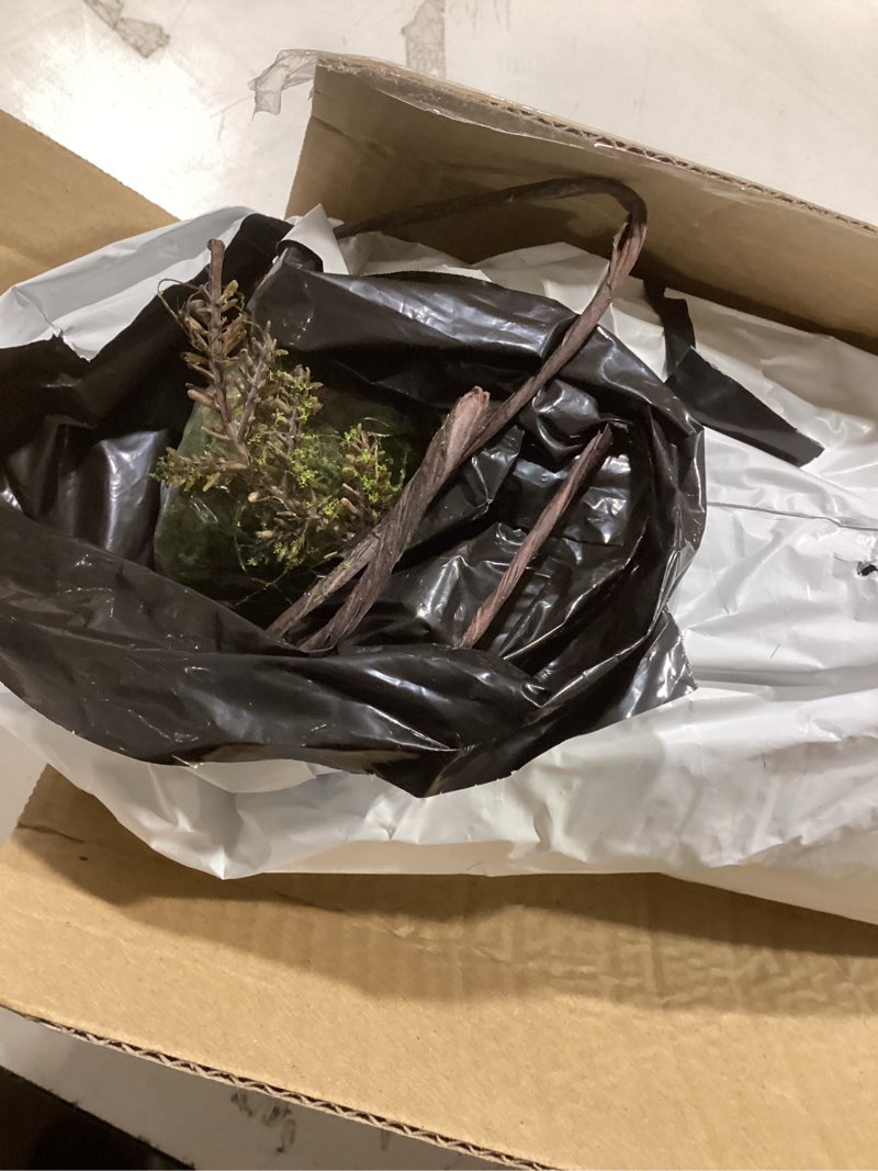 Condition photo showing Good Condition for 1Pcs 78.9inch Large Bendable Artificial Craft Moss Garland Faux Tall Tree Trunk Branches Grape Vines for Halloween Haunted Mansion Wedding Arch Room Outdoor Mantel Wall Hanging Forest Greenery Decor