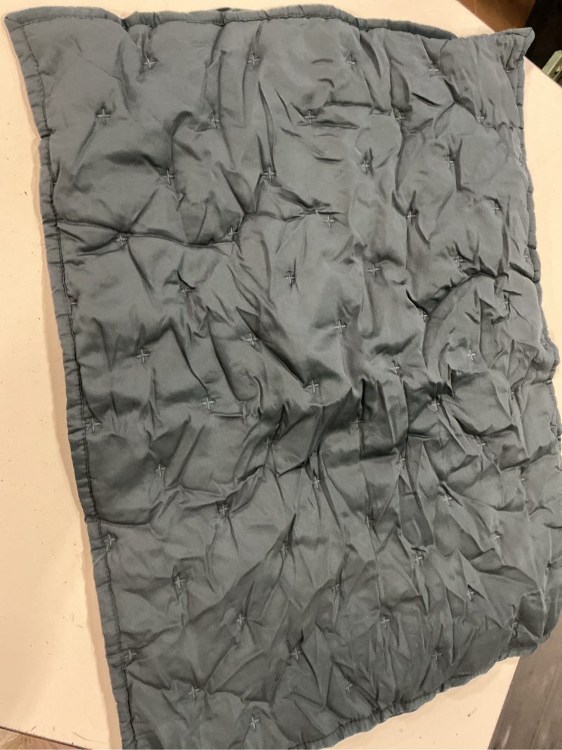 Condition photo showing Good Condition for bamboo dream quilted sham set standard