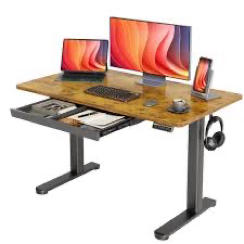 TIQLAB 48 * 24 Inch Standing Desk with Two Drawers, Stand Up Standing Desk Adjustable Height, Electr