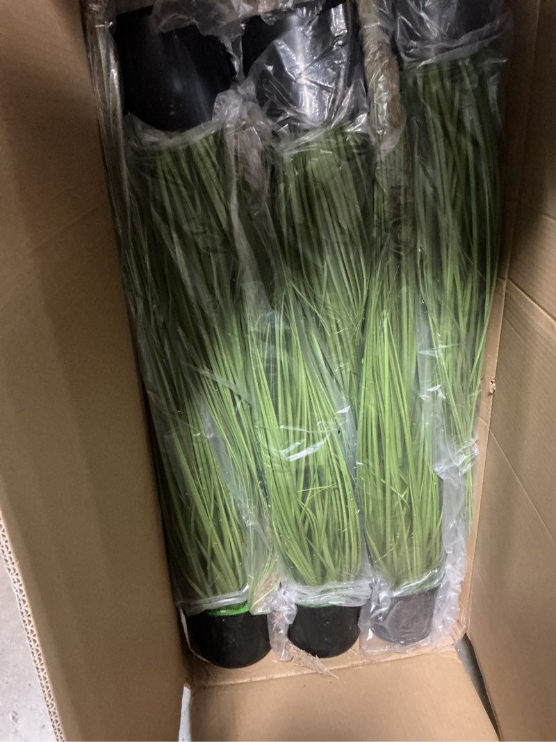 Condition photo showing Good Condition for jexine 6 pcs pampas grass potted plants 4 ft tall artificial grass potted artificial greenery floor plants tall in pot for housewarming gift house garden bathroom lobby outdoor decoration (greeny) greeny 6