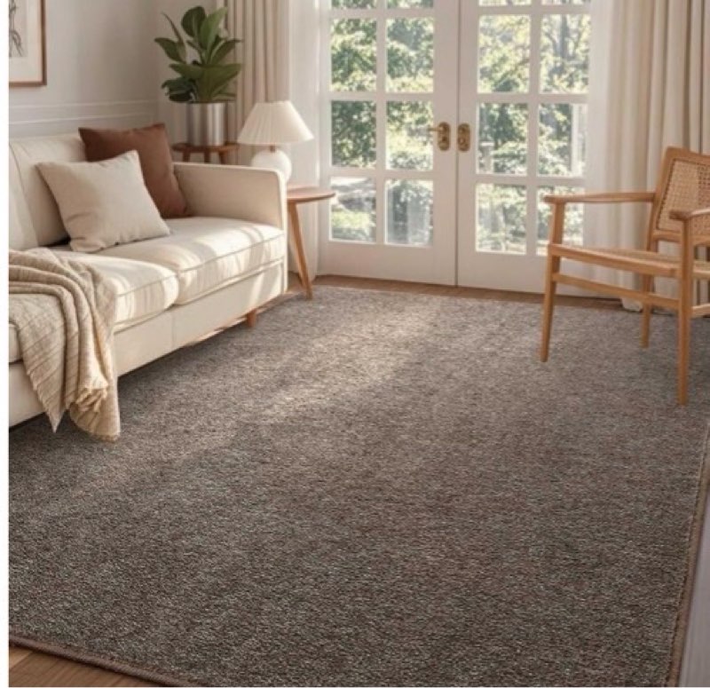finre?c 4x6 washable area rugs for bedroom living room, low pile thin rug solid color, non-slip carp