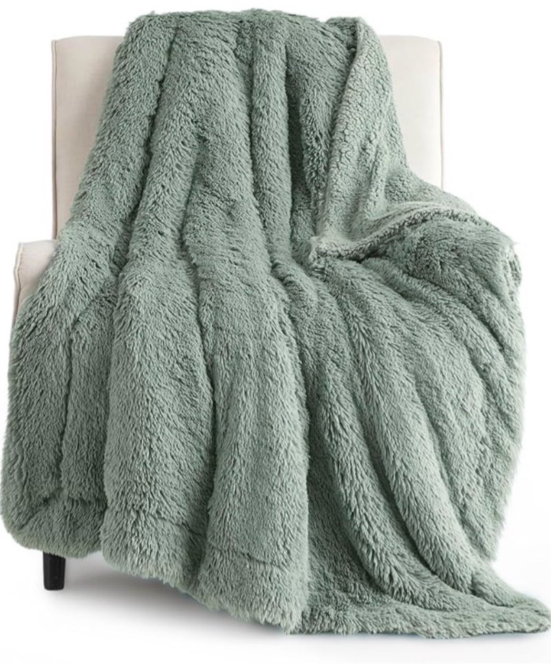BEDSURE GETCOZY FAUX FUR TWIN, SAGE GREEN