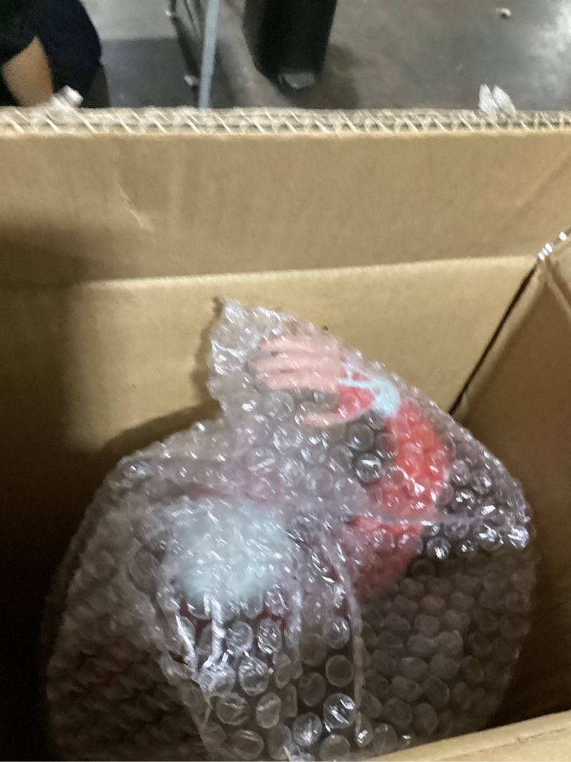 Condition photo showing Good Condition for axis scientific 20” mini muscular system model, human muscular anatomy model, anatomy models human body muscles, muscular model, includes detailed product manual