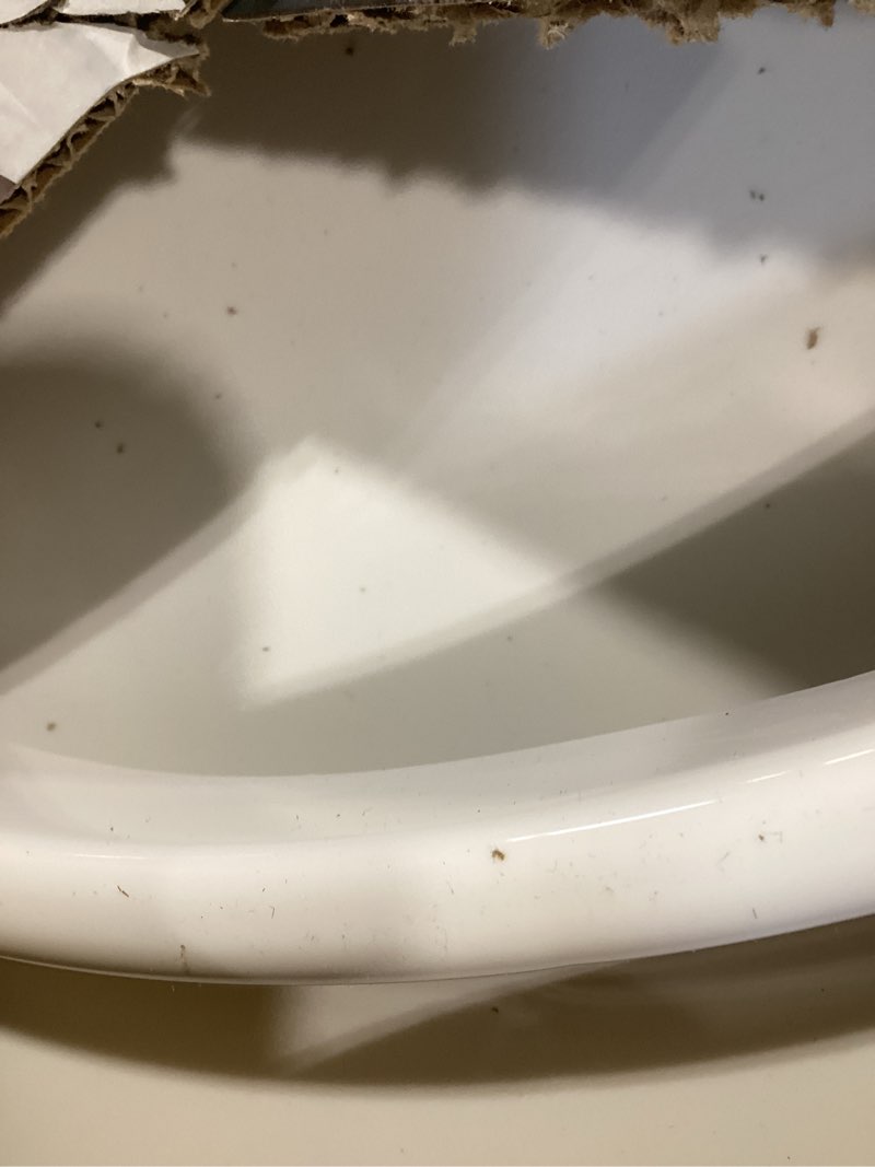 Condition photo showing Good Condition for Safety 1st Easy Care Swing Tray Feeding Booster, Atlantis