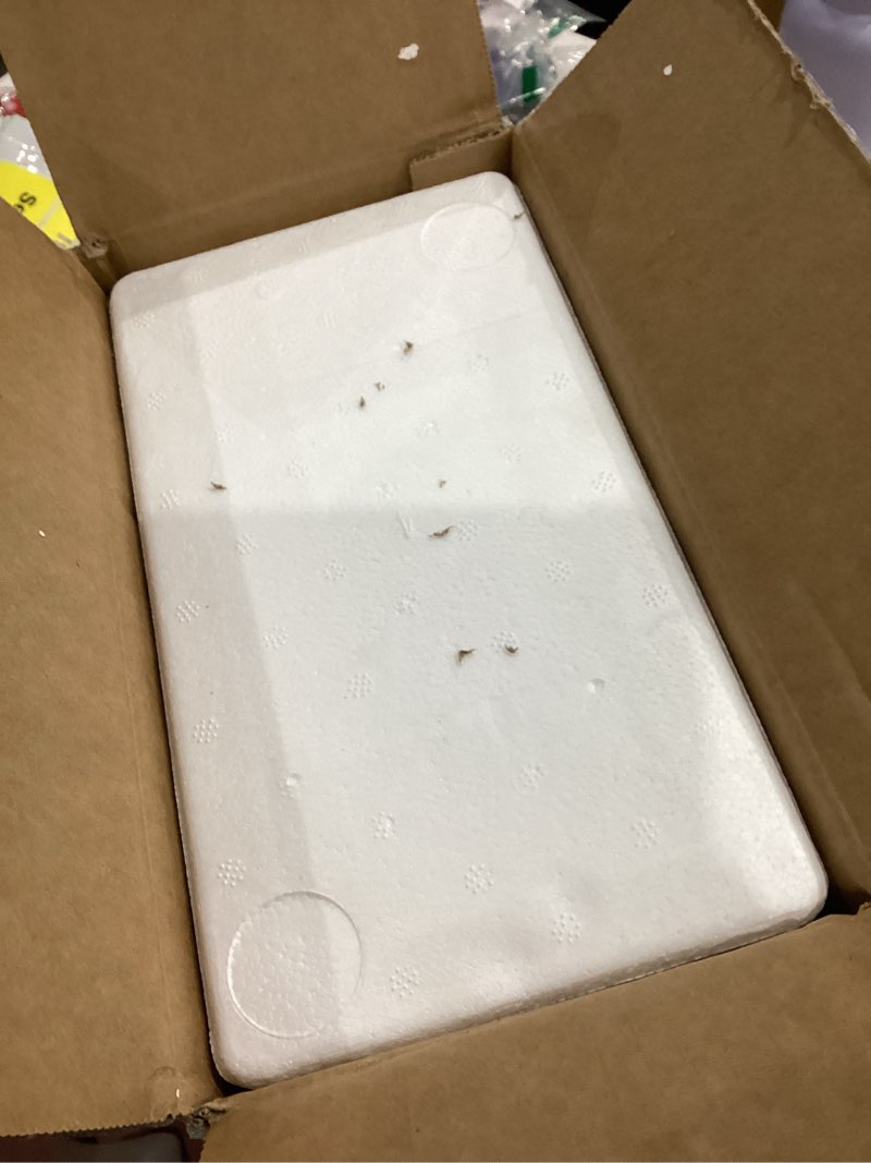 Condition photo showing Good Condition for MALACASA 10" Large Pasta Bowls, 56 OZ White Salad Bowls Soup Bowls, Porcelain Serving Bowls Set of 4, Large Kitchen Bowl Plates Pasta Plates, Microwave & Dishwasher Safe, Series REGULAR Ivory White 56 oz (4 Piece)