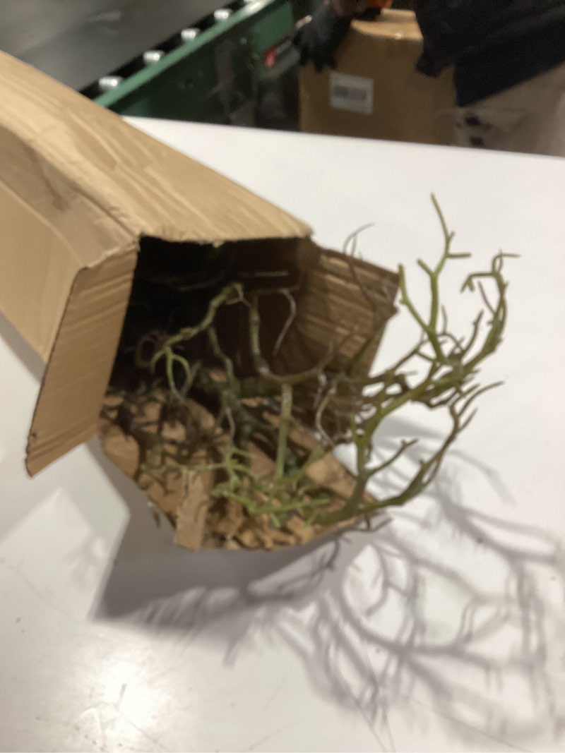 Condition photo showing Good Condition for shaloxar 34-inch-tall manzanita branches,aquarium bonsai tree,fake tree branches,branches for decora